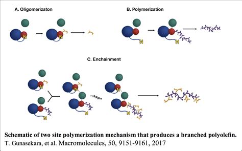 Single Site Olefin Polymerization Kinetics – Caruthers Group