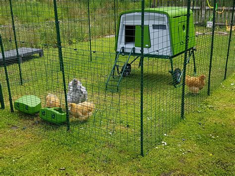 Walk in Chicken Run | Large Outdoor Chicken Enclosure