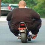 Fat guy on a little bike Meme Generator - Imgflip