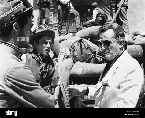 On the set, Luchino Visconti, Alain Delon / The Leopard 1963 directed by Luchino Visconti Stock ...