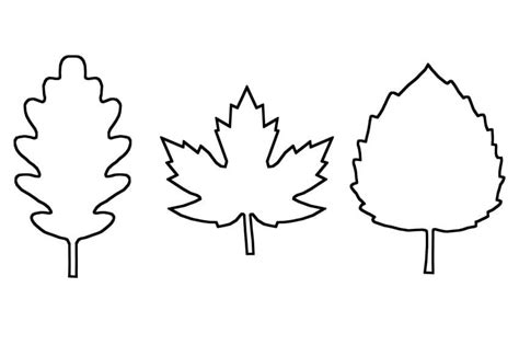 Maple Leaf Outline Printable