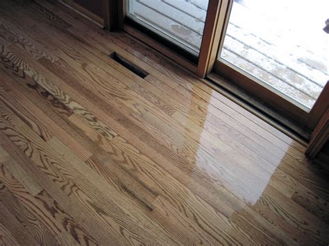 How To Redo Oak Floors | Floor Roma