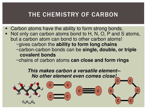 PPT - Carbon Compounds PowerPoint Presentation, free download - ID:2319516