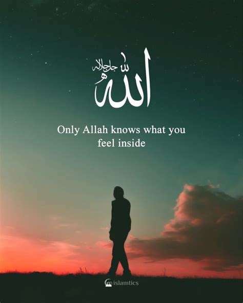 30+ Beautiful Allah knows Quotes (with images) | islamtics