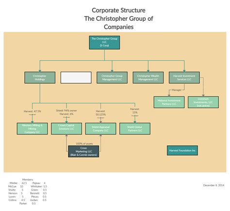 Ownership Structure Chart Template - prntbl.concejomunicipaldechinu.gov.co