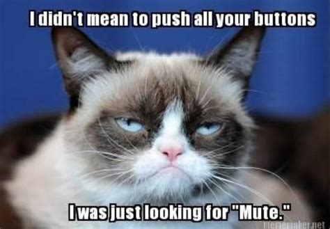 Mute button | Funny cat memes, Funny grumpy cat memes, Grumpy cat humor