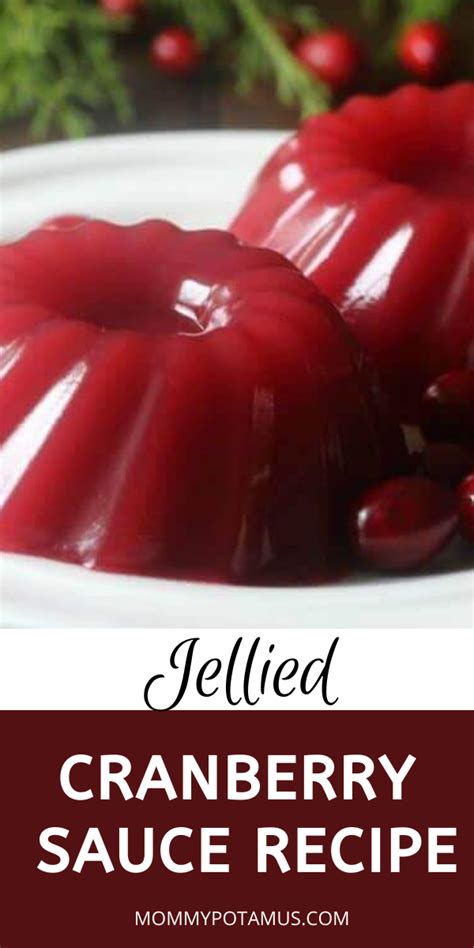 Jellied Cranberry Sauce Recipe - Paleo & GAPS friendly