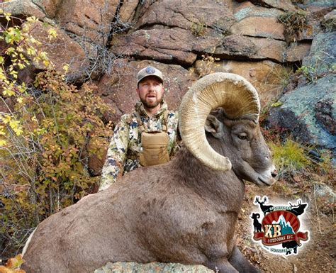 Colorado Big Horn Sheep Hunting | KB Outdoors, Inc.