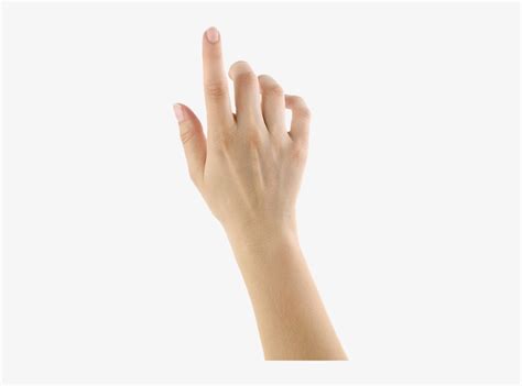 Hands - Hand Touch Screen Png Transparent PNG - 300x527 - Free Download on NicePNG