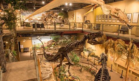 Glendive Dinosaur and Fossil Museum