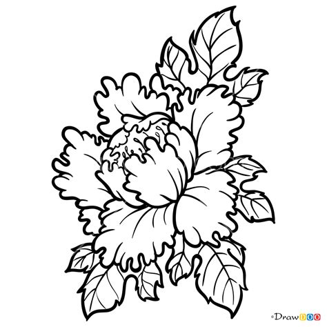 How to Draw Peony, Tattoo Flowers