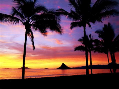 Hawaiian Sunset Wallpaper - WallpaperSafari