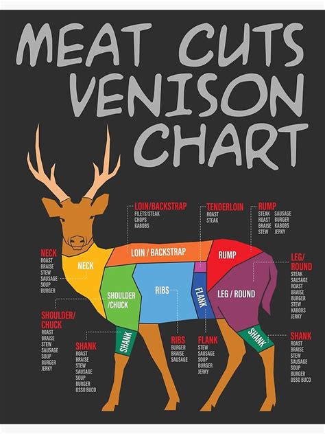 "MEAT CUTS VENISON CHART # design 2" Poster for Sale by unclenut | Redbubble