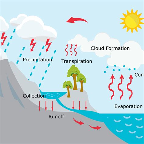 water-cycle-diagram-thumb - DTMA