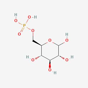 Glucose 6-phosphate | C6H13O9P | CID 5958 - PubChem