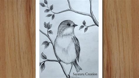 How to draw a Bird Scenery with pencil step by step, Pencil Drawing for beginners