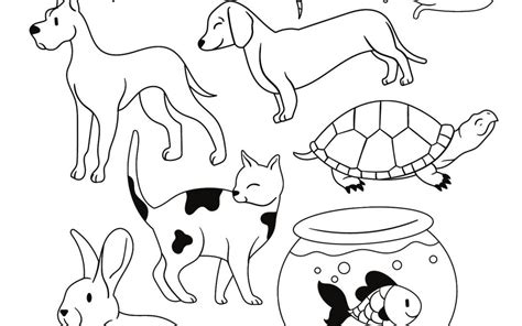 Coloring Pages Of Pets Coloring Pages