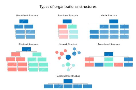 7 Types Of Organizational Structures Lucidchart Blog Structure – NBKomputer