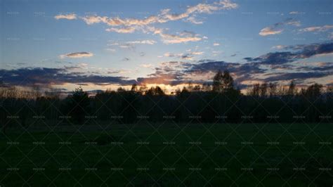 Summer Field During Sunset - Stock Photos | Motion Array