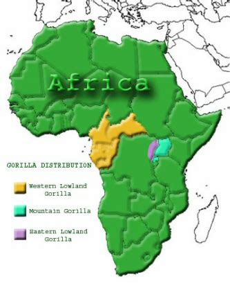 Western Lowland Gorilla Habitat Map