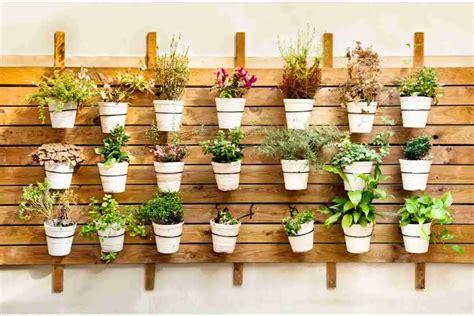 Putting Together A Wall Mounted Indoor Herb Garden - The Ultimate Guide ...