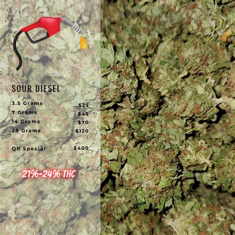 Buy Sour Diesel AA+ 23% THC Marijuana Online in Canada | Gourmet Grass Canada