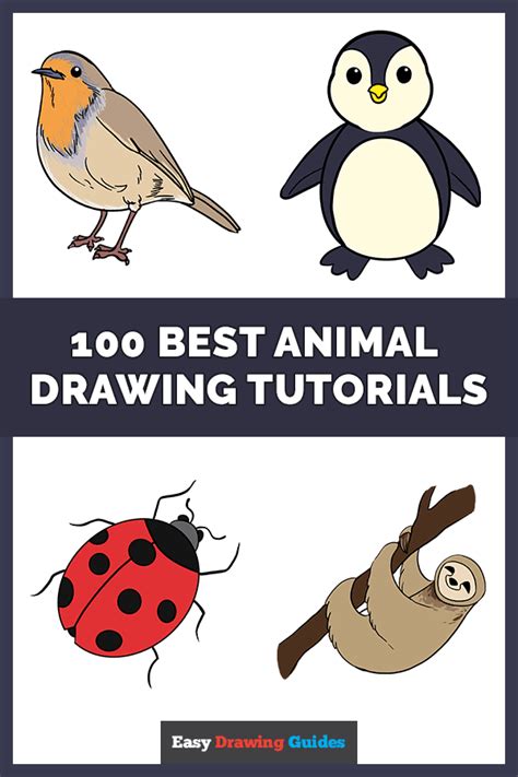 Easy to Draw Animals Easy to Draw Cute - Gorman Tandinque