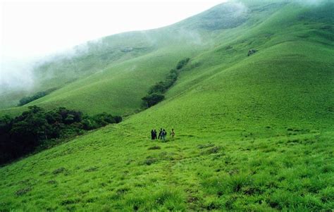 Awesome Valparai Holiday: Best Valparai Holiday Tour Packages Rs 2599 - Trip'n Halt