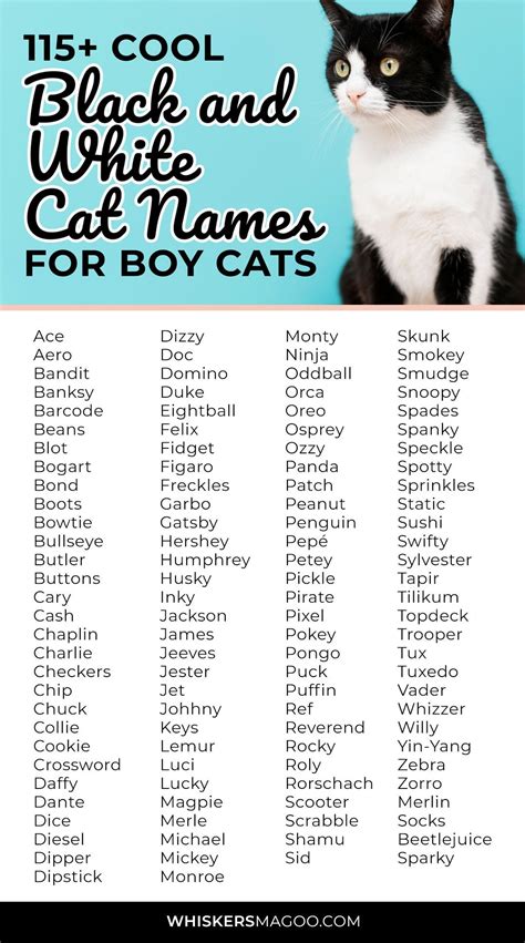 Pin on Cat Names | Cat Name Ideas and Inspiration