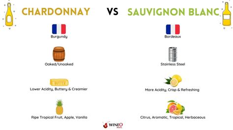 Chardonnay vs Sauvignon Blanc: Which Wine is Right for You?