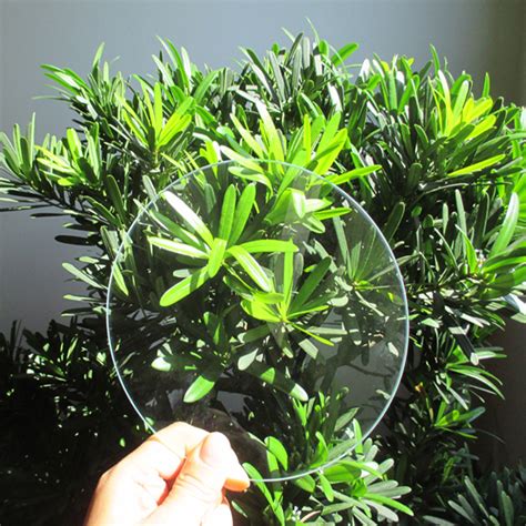 Advantages and Applications of AR Glass - Shenzhen Zeliang Glass Co., Ltd