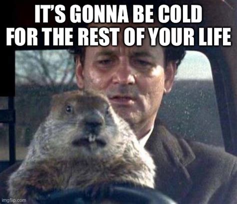 The Funniest 2024 Groundhog Day Memes to Share - Lola Lambchops