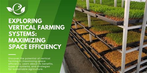 Exploring Vertical Farming Systems: Maximizing Space Efficiency - Envirevo Agritech