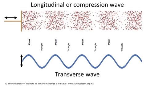 Sound Wave Diagram Labeled