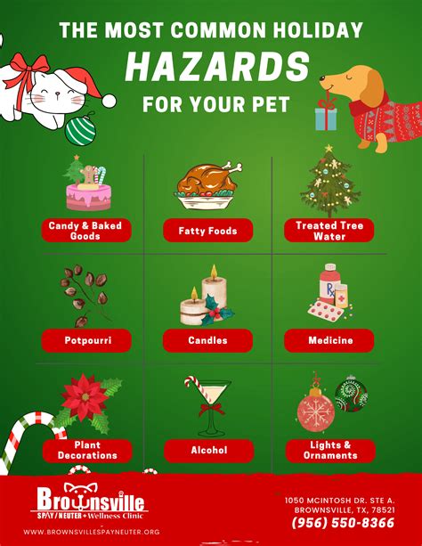 Holiday Pet Safety Tips – Brownsville Spay Neuter Clinic