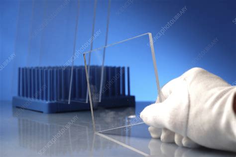 Bulletproof glass - Stock Image - F021/4643 - Science Photo Library