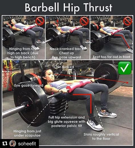 √ Glute Bridge Barbell Floor Press