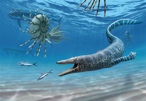 UNF: Professor & team discover ancient marine reptile fossil, publish ground-breaking ...