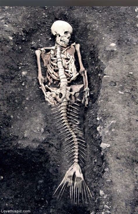 Pin by redactedsygizuv on Creepy photography | Mermaid skeleton, Real mermaids, Mermaids exist