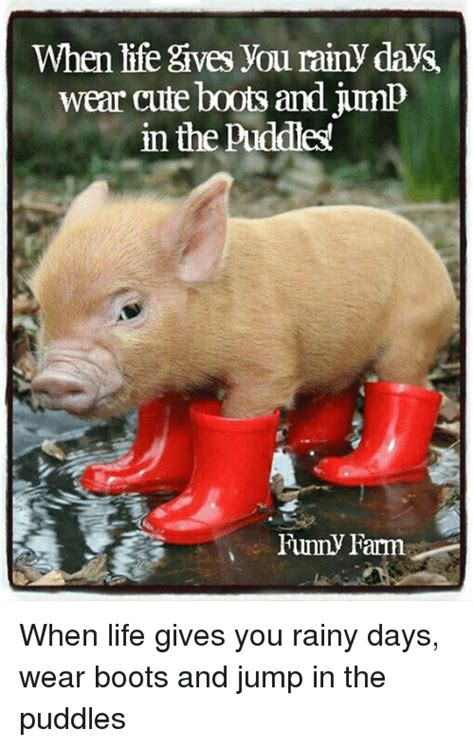 Funny Pig Quotes Sayings - ShortQuotes.cc