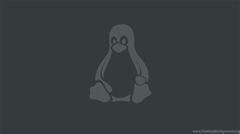 Linux Penguin Wallpapers - Top Free Linux Penguin Backgrounds - WallpaperAccess