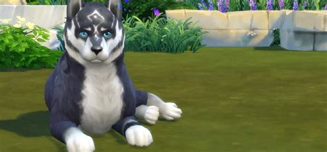 Sims 4 Wolf CC: Outfits, Tattoos & More (All Free) – FandomSpot