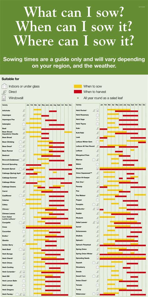 Vegetable Seed Sowing Guide | Thompson & Morgan