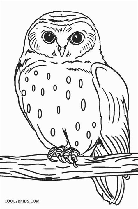 Printable Snowy Owl Coloring Pages - Food Ideas