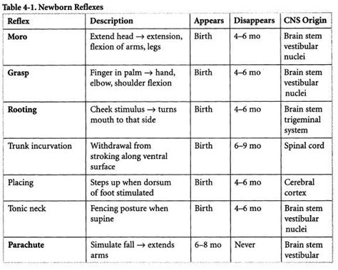 Understanding Infant Reflexes