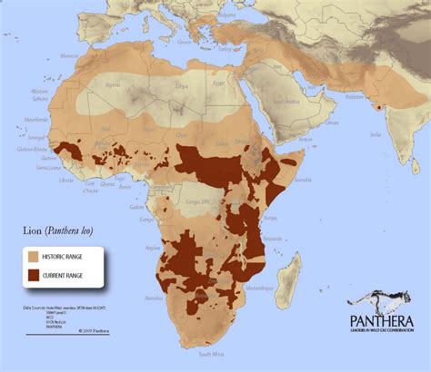 Lion Habitat Map