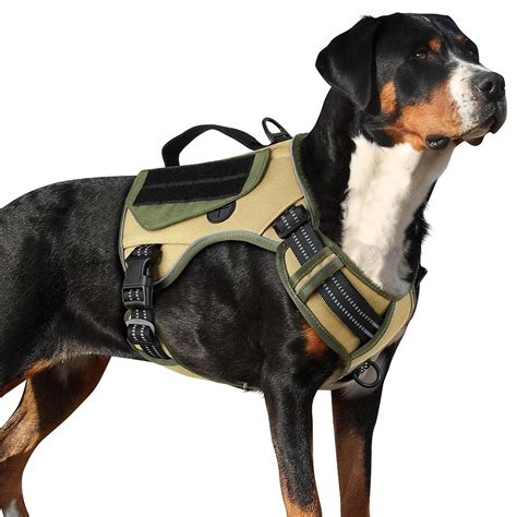 11 Best Dog Harnesses with Handles