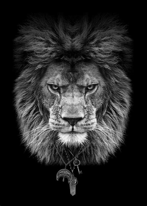 'Lion head black and white ' Poster, picture, metal print, paint by mk studio | Displate | Black ...