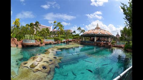 atlantis aquarium paradise island