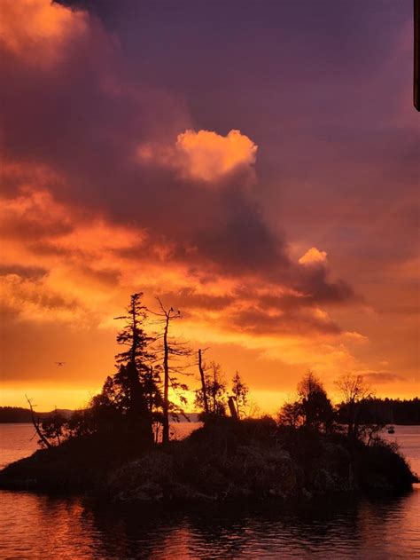 Red sky sunrise : r/vancouver